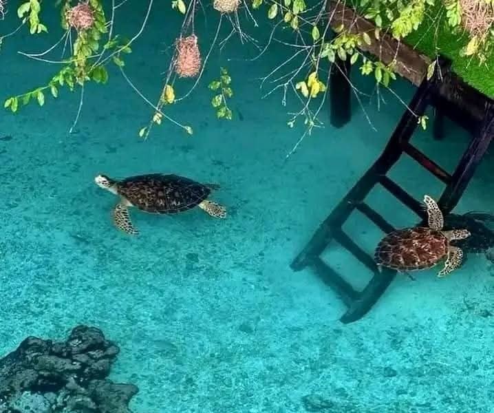 Zanzibar Aquarium and Caves