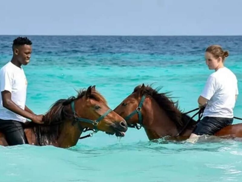 Horse Riding Experience