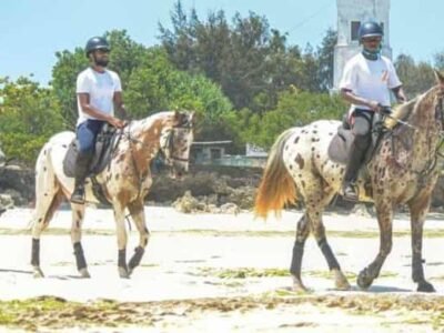 Horse Riding Experience, photo 2