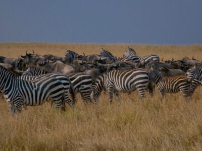 Ngorongoro Crater, photo 2