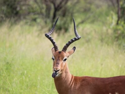 Ngorongoro Crater, photo 3