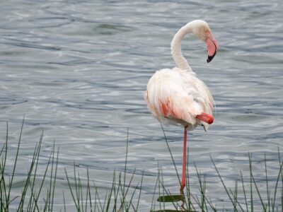 Ngorongoro Crater, photo 5