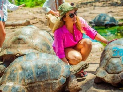 Giant tortoises on Prison Island, part of the Prison Island, Nakupenda and Stone Town tour