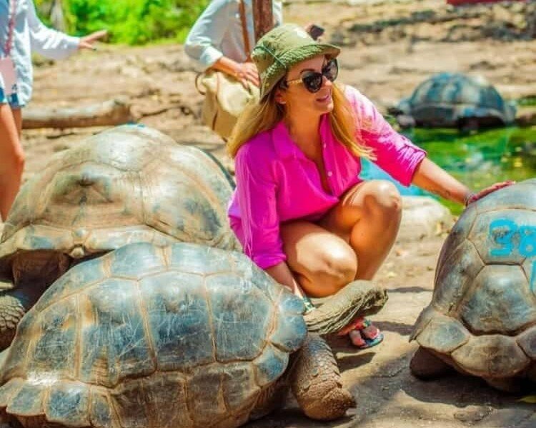 Visitor beside Aldabra giant tortoises on Prison Island, Zanzibar