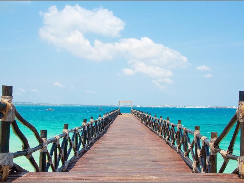 Tanzania Safari and Zanzibar Beach