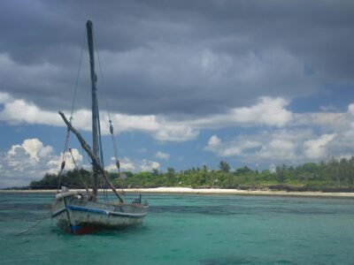 Tanzania Safari and Zanzibar Beach, photo 2