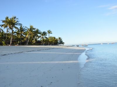 Tanzania Safari and Zanzibar Beach, photo 3