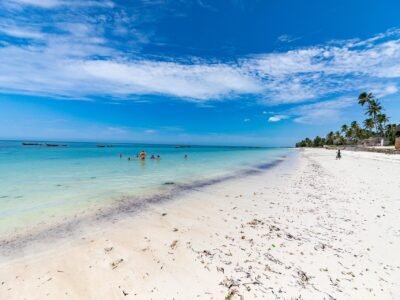 Tanzania Safari and Zanzibar Beach, photo 4