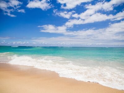 Tanzania Safari and Zanzibar Beach, photo 5