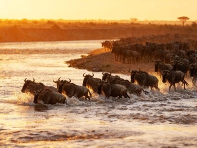 Serengeti National Park, photo 3