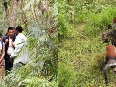 Spice Farm and Jozani Forest, photo 3
