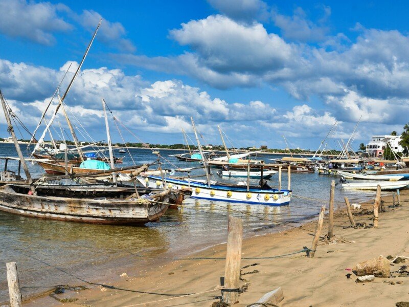 Traditional wooden dhows moored along a tropical shore
