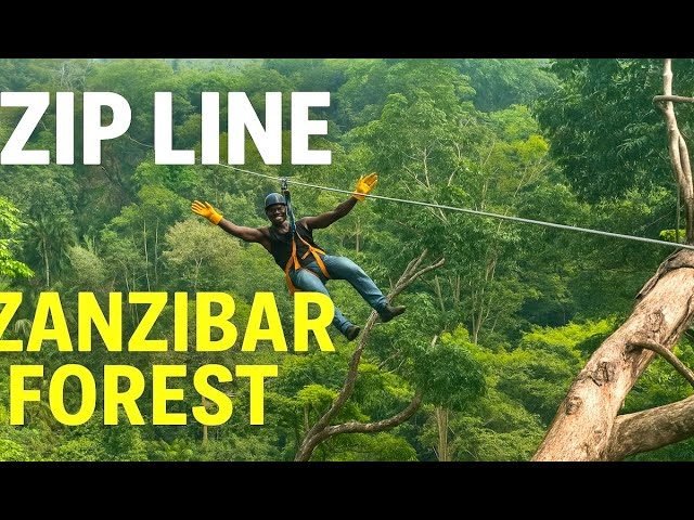 Zanzibar Zipline Adventure